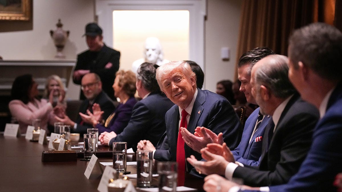 Musk tells Cabinet that DOGE email was ‘pulse check’ for workers, warns US will ‘go bankrupt’ without action